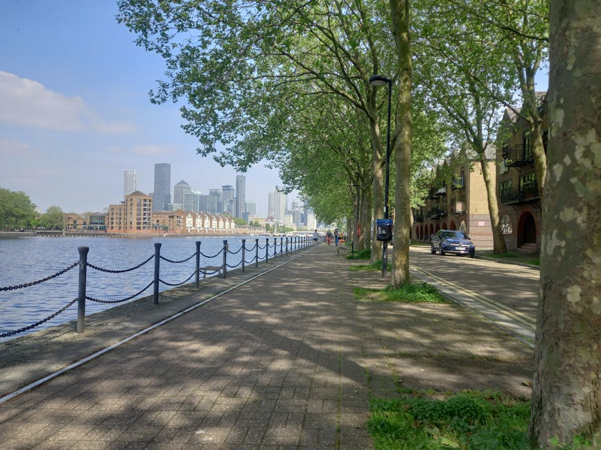 A riverside walkway in Rotherhithe lined with large leafy trees casting dappled shade on the pavement. On the right side, there is a row of residential buildings with brick facades and small balconies. A dark car is parked along the street, near a blue mailbox and a black lamp post. To the left, the River Thames stretches along the edge, bordered by a low black metal chain fence supported by posts. In the distance across the water, the skyline of London's financial district with modern skyscrapers is visible beneath a partly cloudy sky. This scene depicts a quiet, well-maintained urban environment suitable for home relocation or furniture transport preparations, in proximity to the river in Southwark within the Rotherhithe area, as handled by Man With a Van Rotherhithe's removals services.
