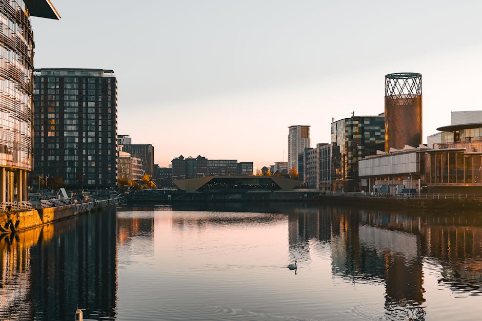 A panoramic view of Rotherhithe's waterfront at dusk, featuring modern high-rise buildings with glass facades reflecting the evening sky. The river in the foreground is calm, with a single swan floating near the centre, and gentle lighting from the surrounding structures illuminates the scene. On the left, a multi-storey building with curved glass windows is visible, while to the right, a distinctive cylindrical tower with a lattice-like top stands out amidst other contemporary office and apartment blocks. The scene captures the urban landscape typical for a home relocation area, with no people or vehicles in motion but an environment suitable for furniture transport and moving logistics. This setting illustrates the type of locale where professional removals, such as those by Man With a Van Rotherhithe, may operate during a furniture move or packing and moving process, highlighting the area's modern infrastructure and quiet waterside ambiance.